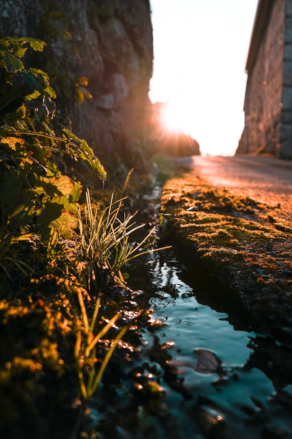 Featured Gallery Image